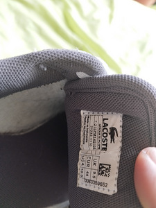 Lacoste vabaajajalats 43 (4 foto / 5)