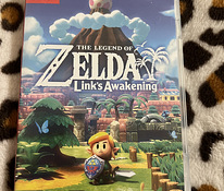Nintendo Switch Link’s Zelda Awakening