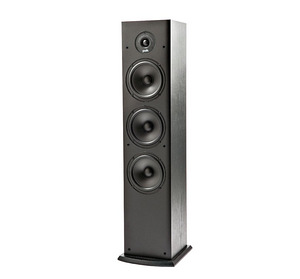 Polk Audio T50 (1 фото из 3)