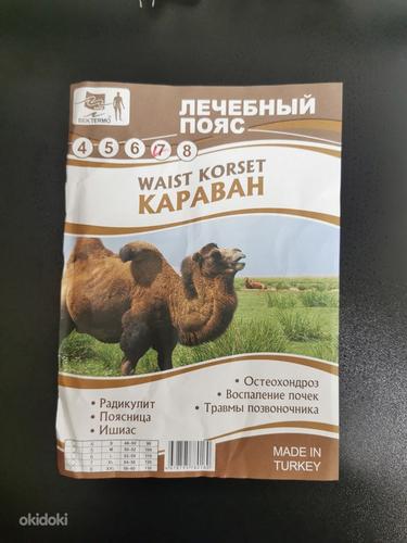Лечебный пояс из верблюжьей шерсти, Kaamelikarvast vöö (фото #1)