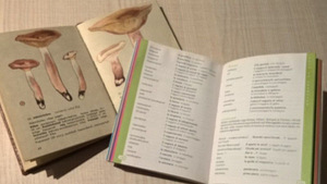Грибная книга + разговорник (2 фото из 2)