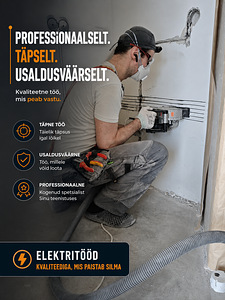 Professionaalne elektrik (3 foto / 3)