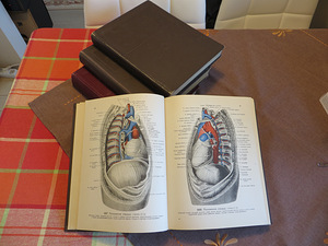 Inimese anatoomia atlas, 4 köidet, venekeelsed (2 foto / 2)
