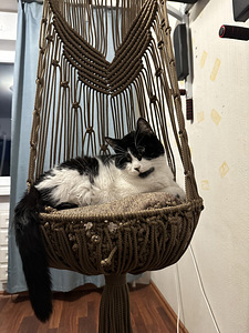 Гамак для котеек (2 фото из 5)