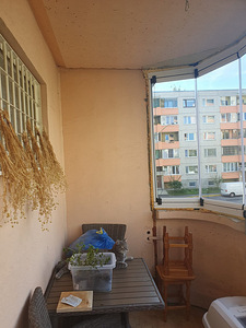 Rõdude remont (4 foto / 10)