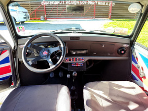 Классический Mini 1000 (5 фото из 6)