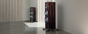 Põrandakölarid Monitor Audio Platinum 300 3G UUED (4 foto / 4)