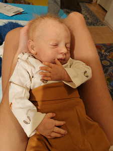 Reborn nukk silikoonist (7 foto / 9)