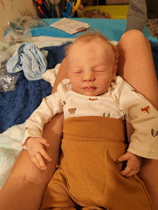 Reborn nukk silikoonist (8 foto / 9)