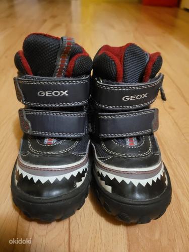 Geox