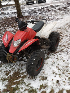 ATV LF250st-5 (2 фото из 10)