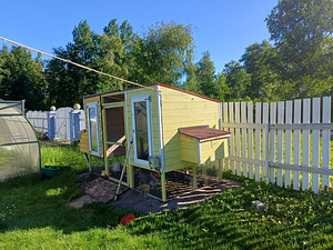 Kanakuut (2 foto / 2)