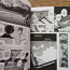 Manga Tokiiski gul 2 (foto #3)