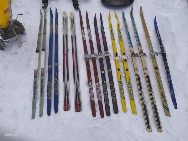 Зимнее снаряжение горные лыжи лыжи санки (фото #3)