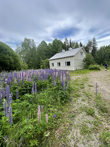 Maja Soomes, Juankoskil