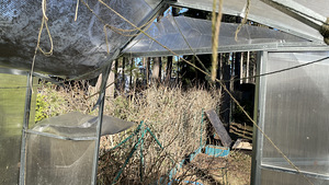 Viilkatusega Kasvuhoone ( 2 x 3.5 m) (4 foto / 4)