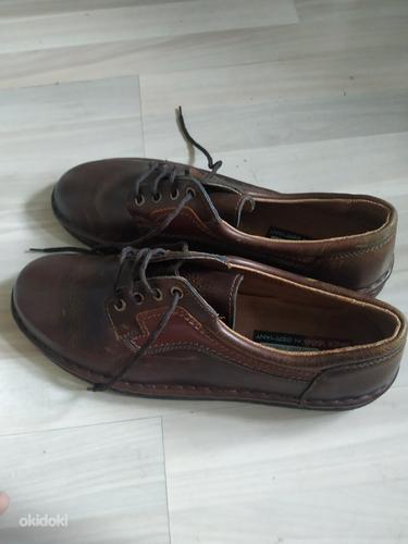 Мужская обувь (фото #1)