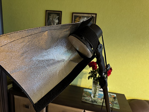Foto Softbox valgustus (1 foto / 3)