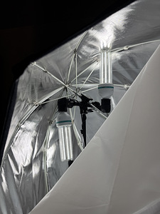 Фото Softbox главный свет