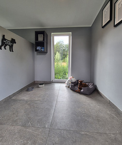 Lemmikloomade hotell - Pet Villa (8 foto / 10)
