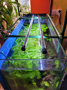 Akvaarium 125l. (9 foto / 9)