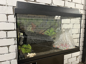Akvaarium 80l sisustusega (4 foto / 4)