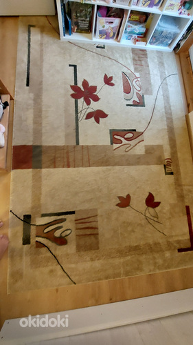 Pehme ja vähe kasutatud vaip 200x300