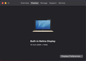 MacBook Retina, 12-inch, Early 2015 (8 foto / 9)