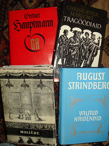 Erinev ilukirjandus (2 foto / 5)