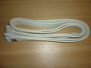 Kimono Taekwondo Dubok (8 foto / 8)