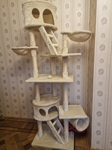 Maja Kraapimispuu kassidele. (1 foto / 1)