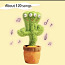 Tantsiv, laulev kaktus (foto #1)