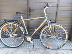 Tunturi Park Cafe 28'' (2 foto / 4)