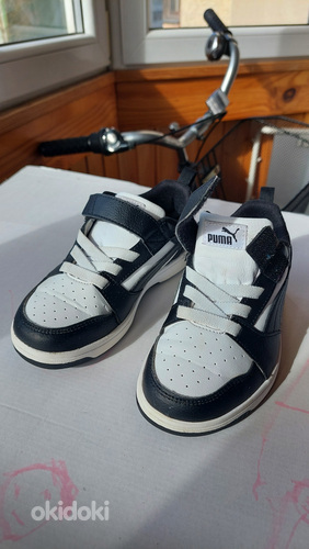 Puma tossud 31