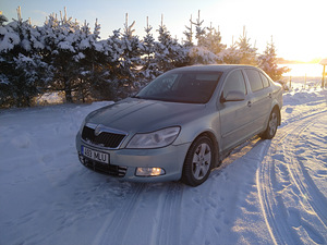 Skoda Octavia (2 фото из 2)