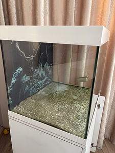 Б/у аквариум Eheim Vivaline 150L LED (1 фото из 2)