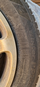 Volvo plekkveljed rehvidega ja kilpidega (4 foto / 8)