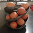 Подставка для яиц/фруктов (фото #1)