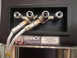 Tannoy Revolution DC4 + eritellimusel alused (4 foto / 9)