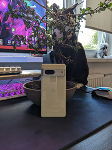 Google Pixel 7 lemongrass 128GB (5 foto / 6)