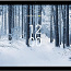 Nokia T21 128GB LTE (фото #1)