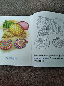 Обучающие раскраски (2 фото из 3)