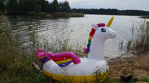 Intex mega unicorn (2 фото из 2)