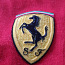 Ferrari pusa S (foto #1)
