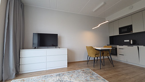 Viieaia tee 28, Maardu, Harjumaa (9 foto / 11)