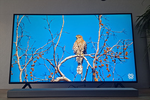 SAMSUNG | 4K/Smart | 55" | 3840x2160 | Wireless LAN | Tizen (2 foto / 5)