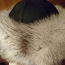 Talve müts- arktiline rebane ,naturaalne seemisnähk. (foto #1)