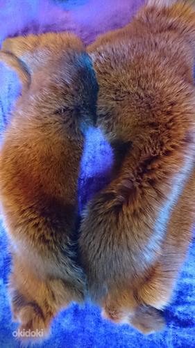 Воротник и манжеты из натуральной лисы (фото #2)