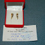 Kuld kõrvarõngad kividega + sertifikaat (foto #2)