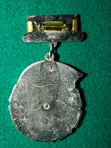 Medalimärk "Silmapaistvus sotsiaalses konkurentsis elektroon (3 foto / 3)